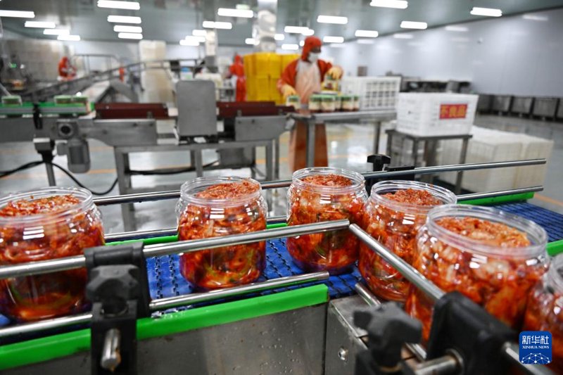 探寻青岛食品加工的行业新篇